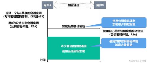 計(jì)算機(jī)網(wǎng)絡(luò)開(kāi)發(fā)與服務(wù)中的網(wǎng)絡(luò)安全 守護(hù)數(shù)字世界的基石