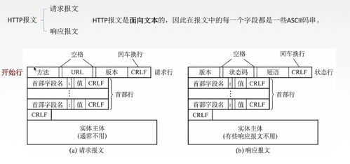 計(jì)算機(jī)網(wǎng)絡(luò)基礎(chǔ)知識(shí)之應(yīng)用層 網(wǎng)絡(luò)開(kāi)發(fā)與服務(wù)的基石